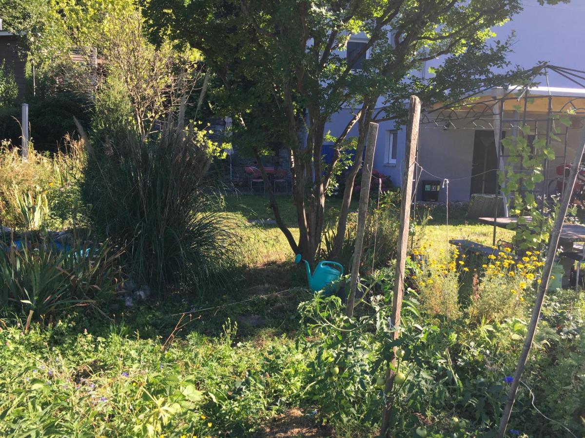 Casa In Koenigs Garten Intragna Dış mekan fotoğraf
